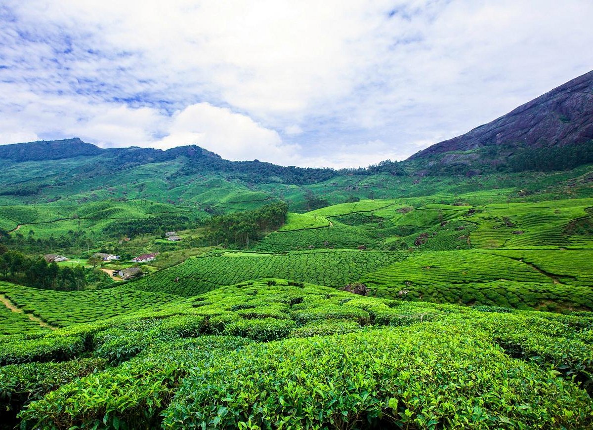 Kerala Emerald Escape