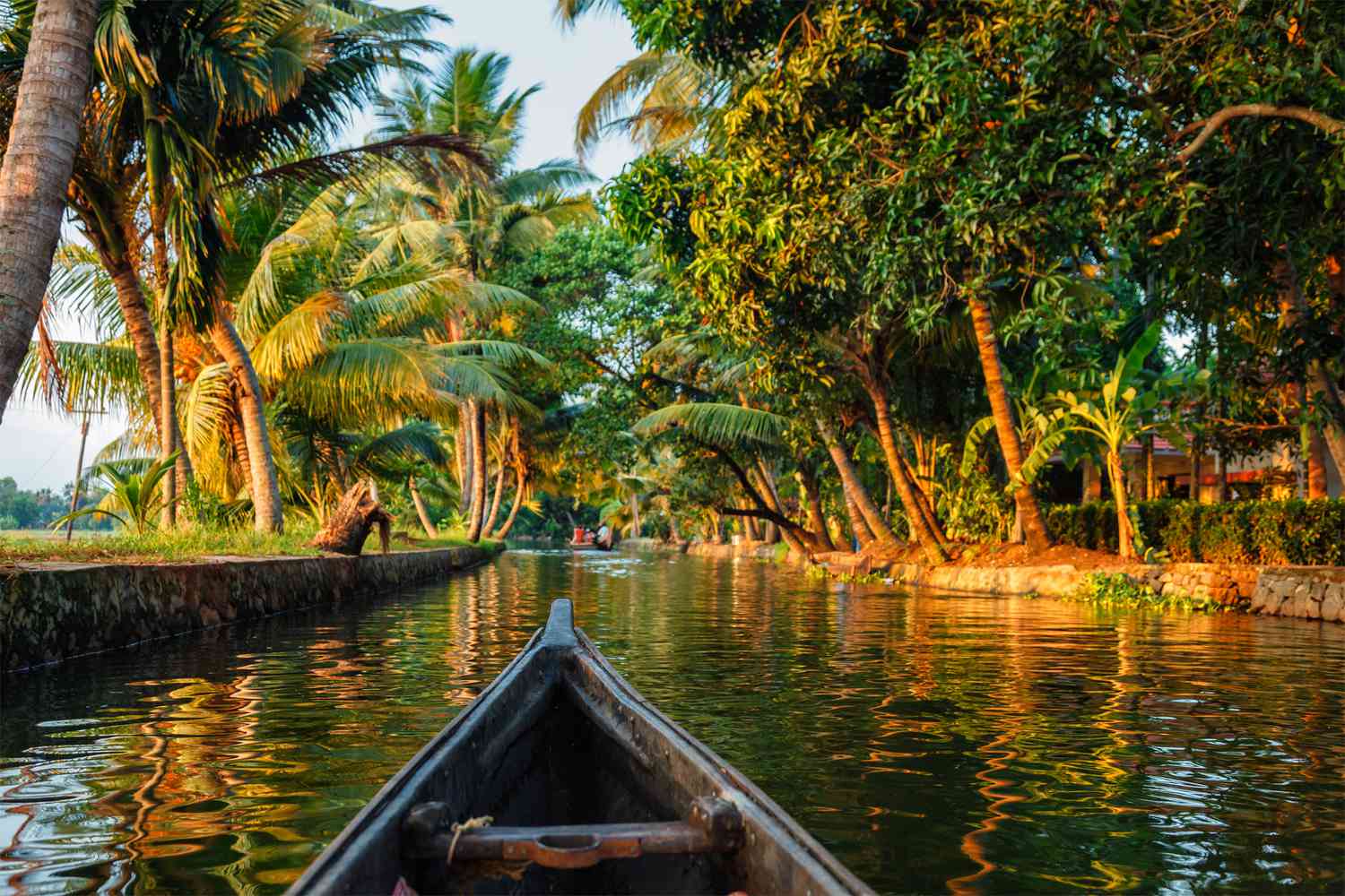 Explore Kerala God’s Own Country: Backwaters, Beaches & Hill Stations